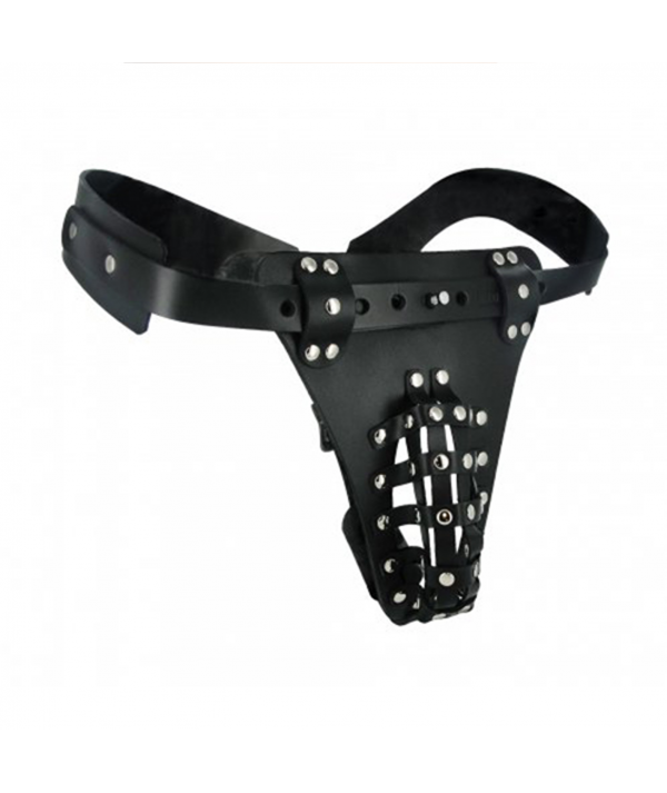 The Safety Net Leather Male...
